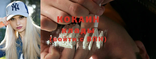 прущие грибы Россошь