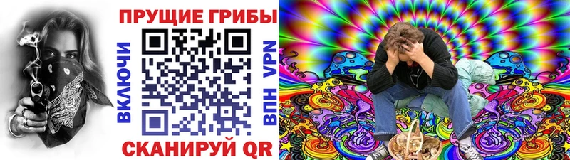 Галлюциногенные грибы мухоморы Усть-Джегута