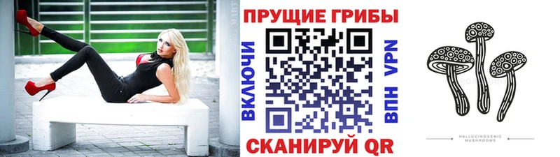 Псилоцибиновые грибы мухоморы  Усть-Джегута 