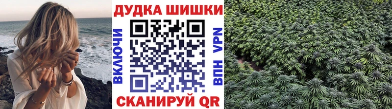 Конопля гибрид  Усть-Джегута 